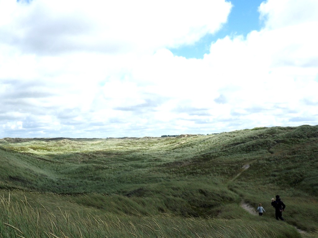 You are currently viewing 6 oplevelser med børn i Nationalpark Thy