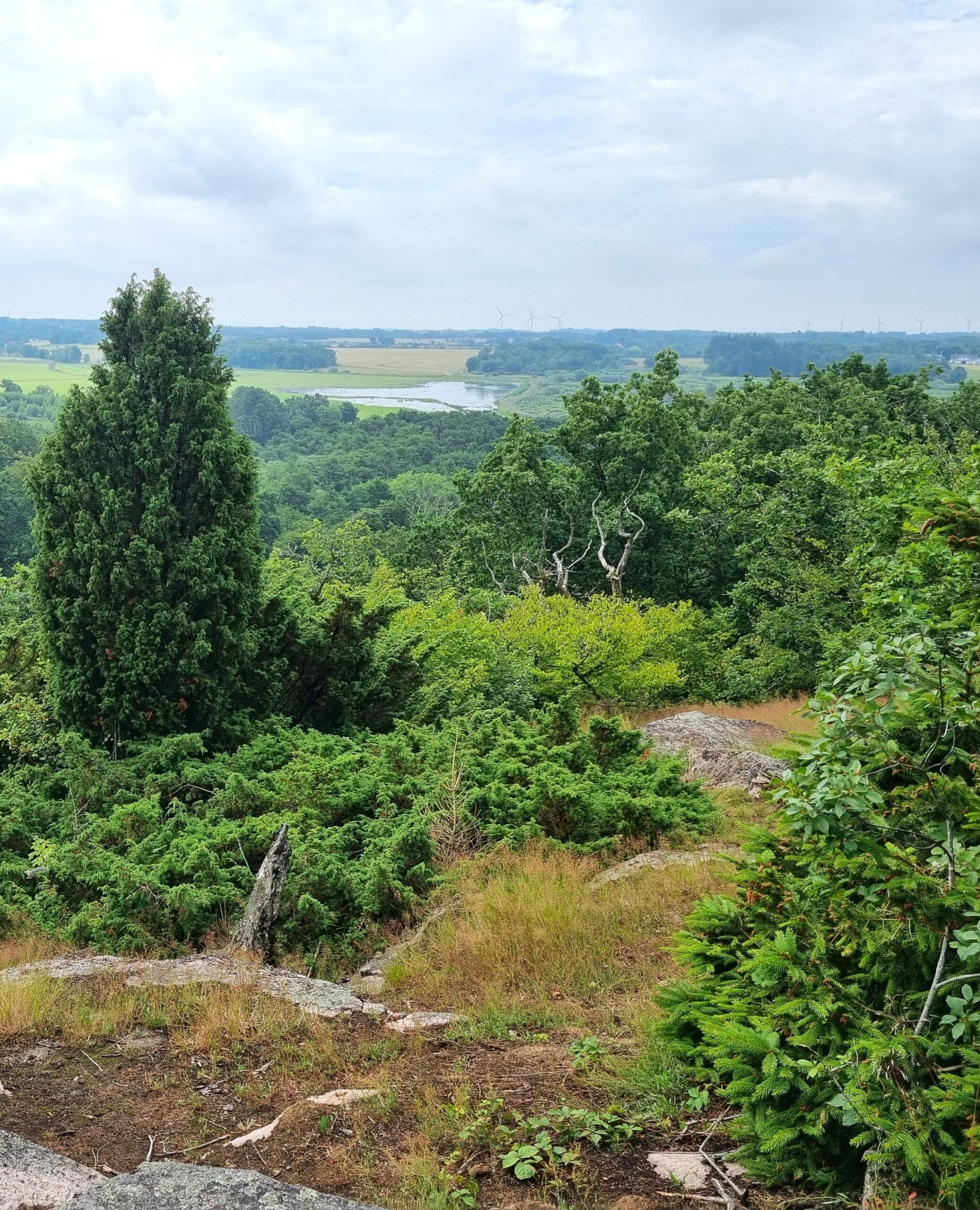 Udsigt fra Ekkodalen, Bornholm